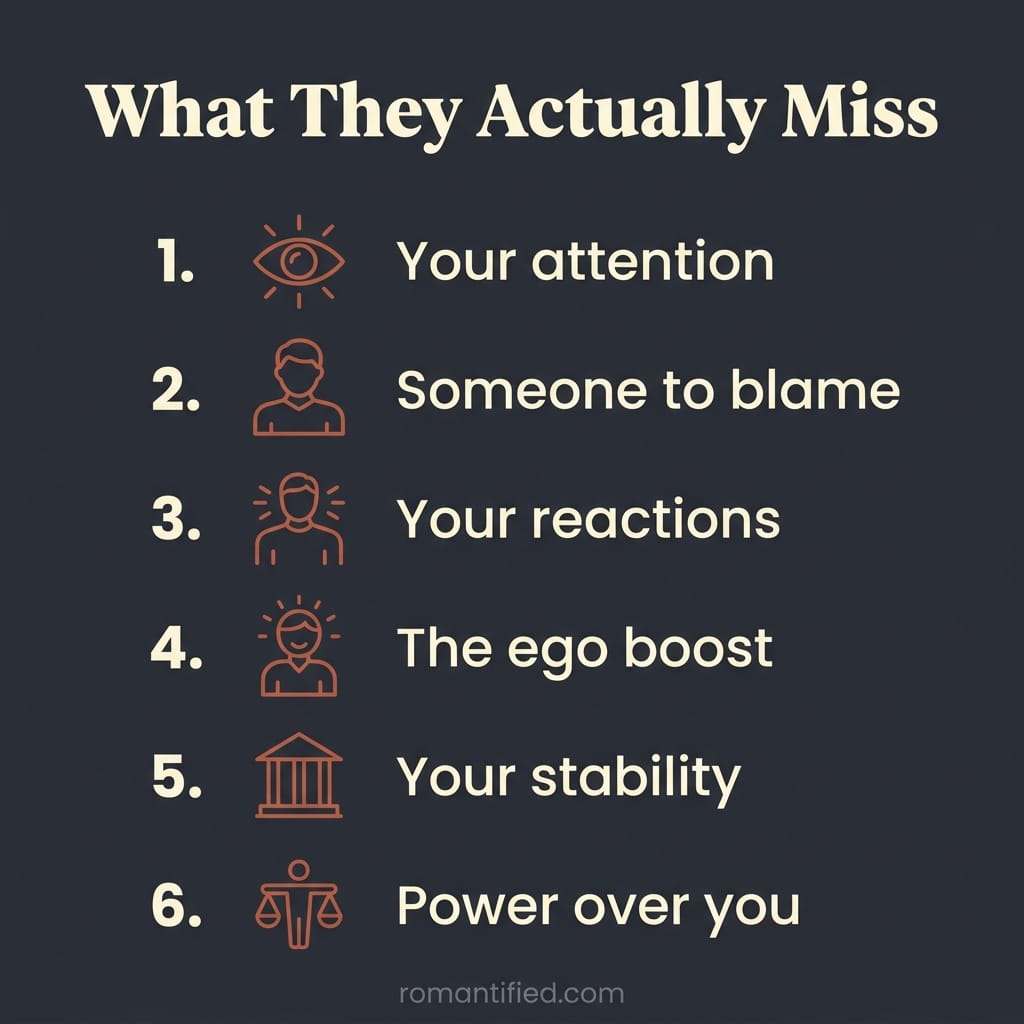 Overview infographic of what the narcissist actually misses when they come back.
