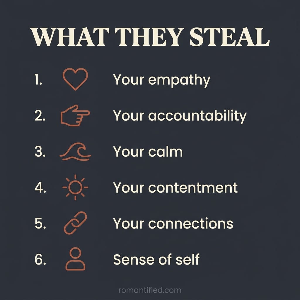 Overview infographic of the things a narcissist steals because they lack them inside