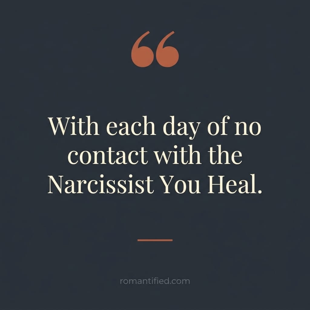 With each day of no contact with the Narcissist You Heal.